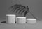 Dark graphite gray, black and white ,3D render of a simple, minimal product display composition backdrop with three podiums or