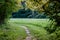 dark gravel pathway road in evening forest