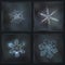 Dark gray collage with four real snowflake macro photos