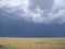 Dark gray storm clouds roil over golden prairie grass