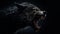 Dark Gray Werewolf Concept Art On Black Background