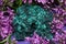 Dark green fibrous Malachite cluster from Shaba Province, Zaire, surrounded by purple lilac flower.