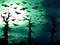 Dark green forest and bats scary background