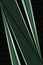 Dark green gradient. Background with metallic diagonal shaded lines.