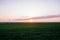 Dark green grass field landscape sunset sun light dusk