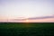 Dark green grass field landscape sunset sun light dusk