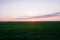 Dark green grass field landscape sunset sun light dusk