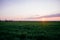 Dark green grass field landscape sunset sun light dusk