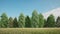 Dark green grass in the meadow against the background of trees ecological style 3d