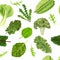 Dark green leafy vegetables seamless vector pattern isolated. fresh juicy raw leaves. Spinach, Dandelion, broccoli