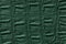 Dark green leather texture background, closeup. Reptile skin, macro