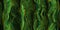 Dark green mystic twirls. Seamless enigmatic dynamic flourishes background texture