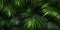 Dark green palm leaves dramatic photo effect background, realism, realistic, hyper realistic. Generative AI weber.