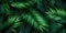 Dark green palm leaves dramatic photo effect background, realism, realistic, hyper realistic. Generative AI weber.