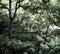 Dark green shadowy forest with ferns covering the ground and old twisted trees with light shining though the woodland canopy