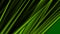 Dark green smooth stripes abstract tech motion background