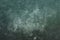 Dark green splattered grungy background or texture