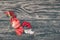 A dark grey background with a branch of kalina and red berries is on a wooden table