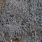 Dark Grey Coarse Concrete Stone Wall Texture, Horizontal Macro Closeup Old Aged Weathered Detailed Natural Gray Rustic Textured