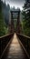 Dark And Gritty Bridge In The Woods: A Technological Symmetry Of Adventure