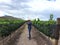 Dark-haired Latino adult photographer man with hat and sunglasses walks between vineyards and takes pictures with his professional