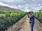 Dark-haired Latino adult photographer man with hat and sunglasses walks between vineyards and takes pictures with his professional