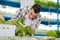 Dark-haired man wearing squared shirt feeling busy planting lettuce