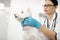 Dark-haired vet examining white dog sitting calm near her