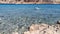 Dark-haired young man front crawl swims in clear azure water of Red Sea in Sharm El Sheikh Egypt 13