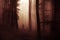 Dark Halloween apparition ghost in forest with fog