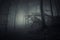 Dark Halloween scene in forest