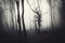 Dark Halloween scene of haunted forest with fog