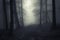 Dark haunted forest with fog