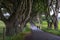 The Dark Hedge, Northern Ireland.