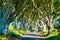 Dark Hedges in Northern Ireland beautiful avenue of beech trees popular and famous landmark