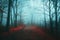 Dark horror path in moody foggy forest