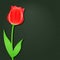 Dark Invitation Card with Single Flower - Red Tulip