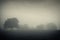 Dark landscape with fog and trees