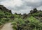 Dark lava rock formations area and green Icelandic forest in Myvatn area, Northern Iceland, Europe.