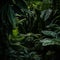 a dark lush jungle with lots of green plants