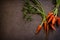 Dark moody food image of fresh carrot - still life photography.