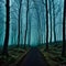A dark and moody forest with mist and
