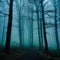 A dark and moody forest with mist and