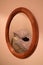 Dark moody image of bed and pillow reflected in a an oval mirror