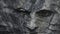 Dark And Moody Landscape: Carved Man\\\'s Face In Illusory Wallpaper Portrait