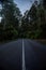 Dark moody road on Mount Dandenong Victoria Australia.