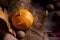 Dark moody rural still life with bright orange pumpkins, sunflower, physalis and colored autumn leaves. Autumnal composition on a