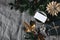 Dark moody winter still life. Christmas festive table setting with golden cutlery, coffee cup, paper star, holly berries