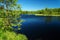 Dark moor lake in the green