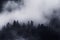 Dark mountain with fog over pines